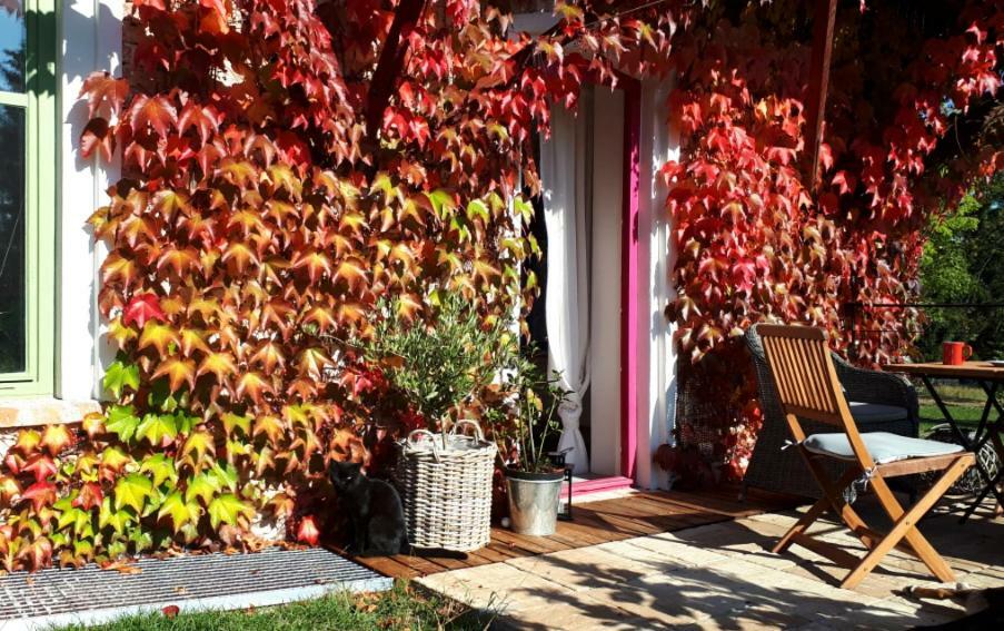 Apartmány Ruprechtov Hroznetin Exteriér fotografie